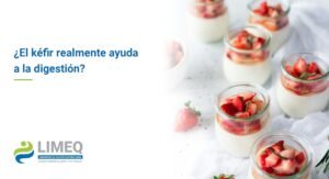 Postres de kéfir con fresas: ¿el kéfir ayuda a la digestión? – LIMEQ